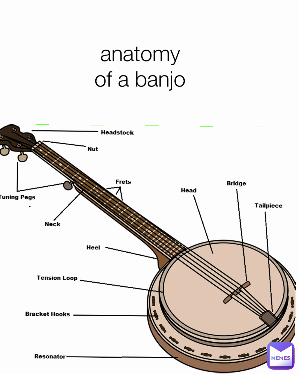 anatomy of a banjo