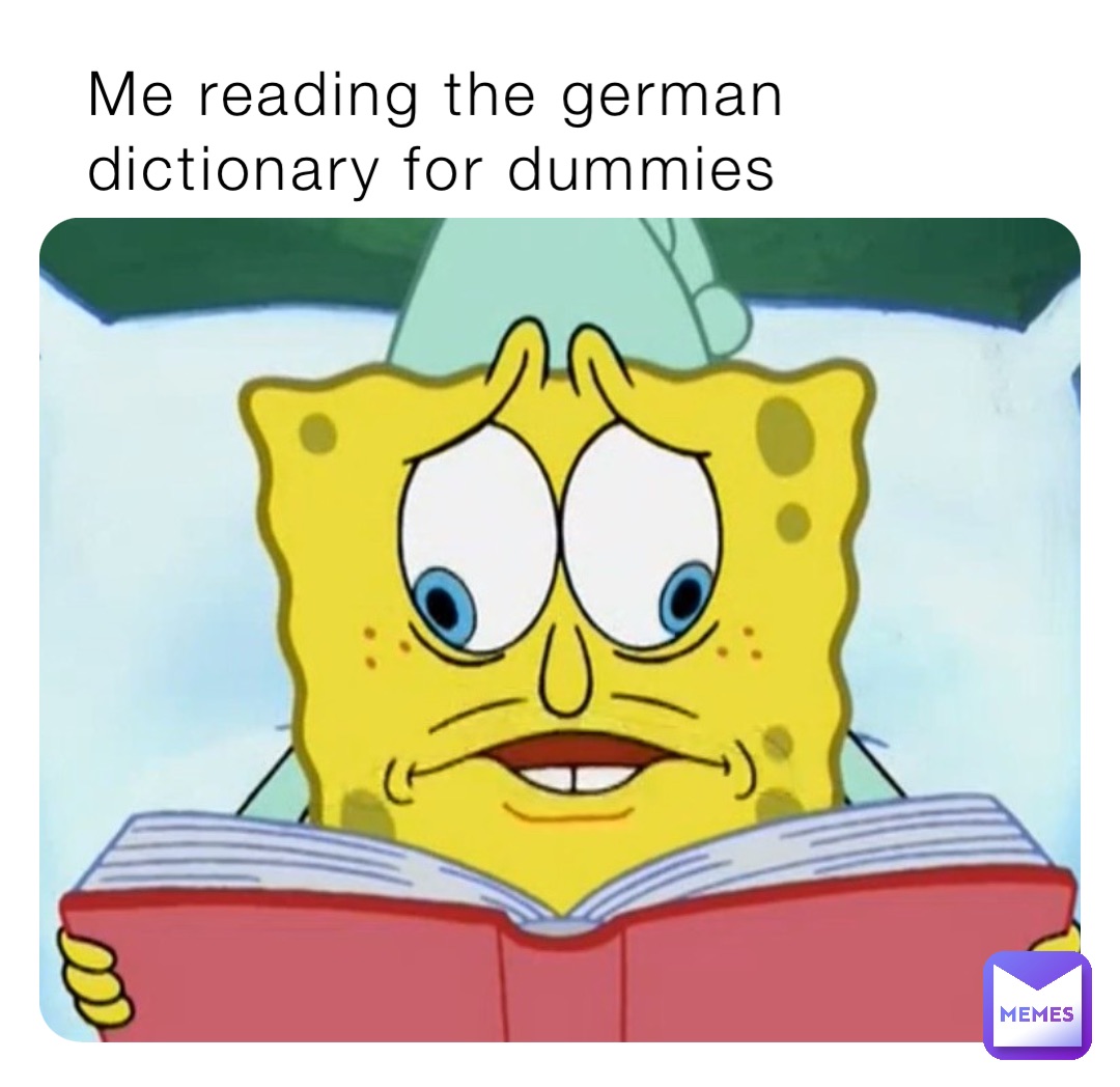 Me reading the german dictionary for dummies