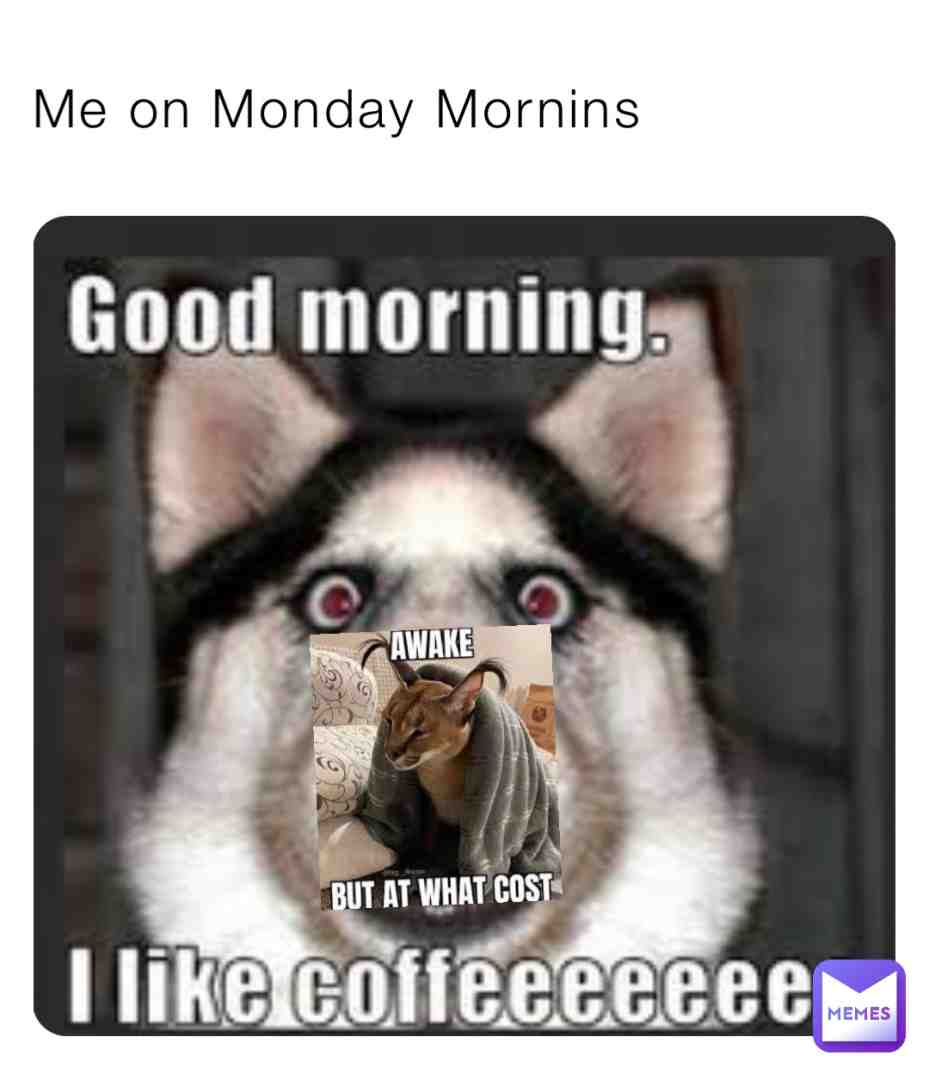 Meme shared by @NeOflopl