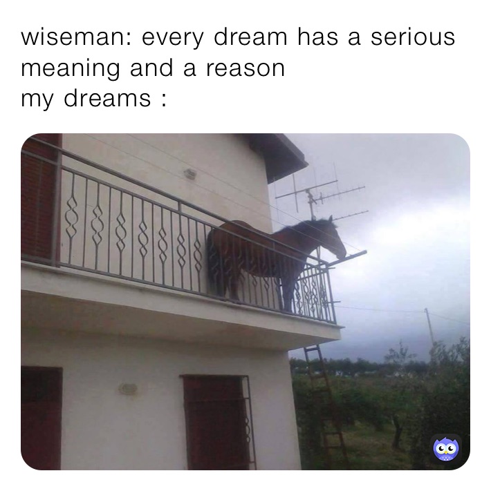 wiseman: every dream has a serious meaning and a reason 
my dreams :