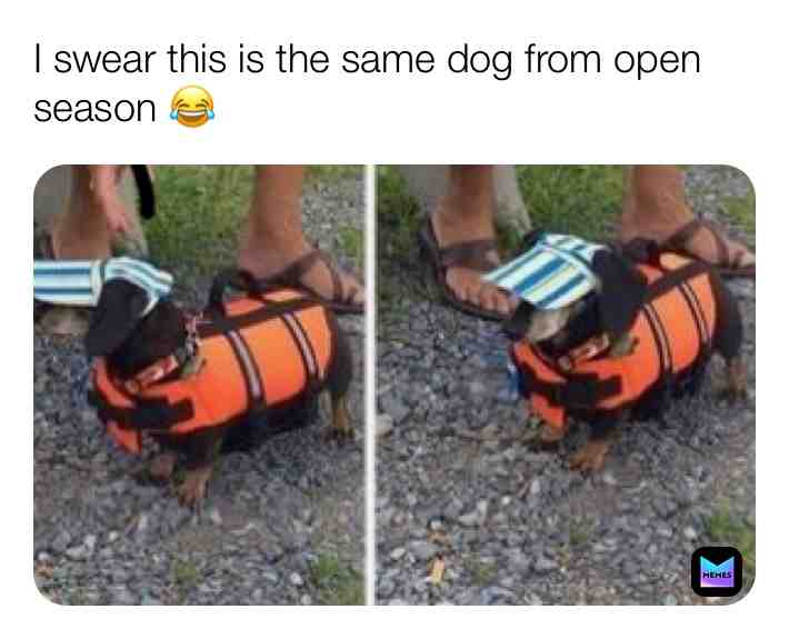 Meme shared by @dusty_rose