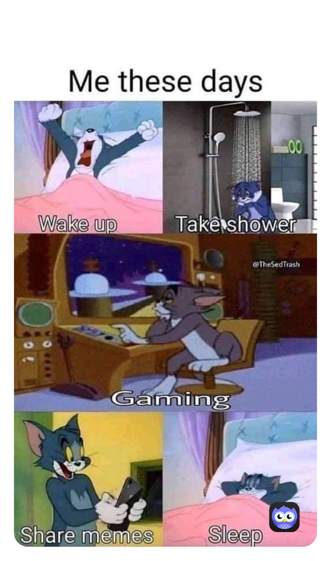 Meme by timeout_howler