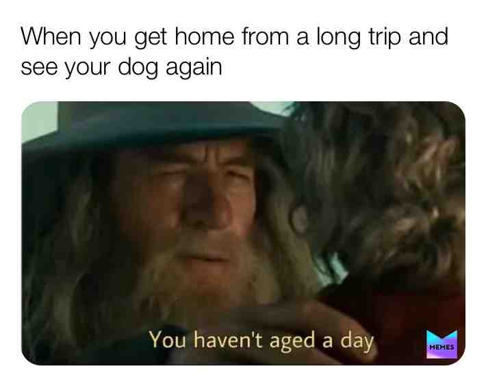 Meme shared by @themememan69