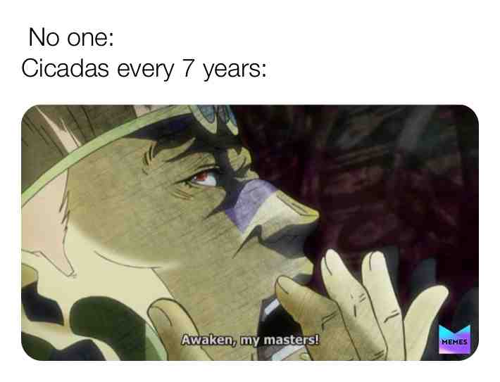 Meme shared by @themememan69