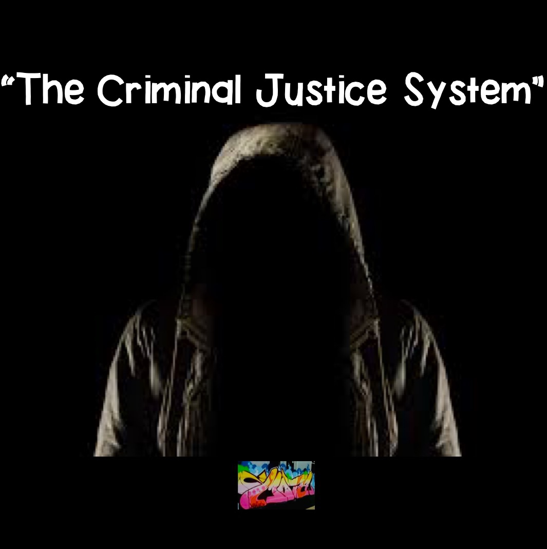 
“The Criminal Justice System”