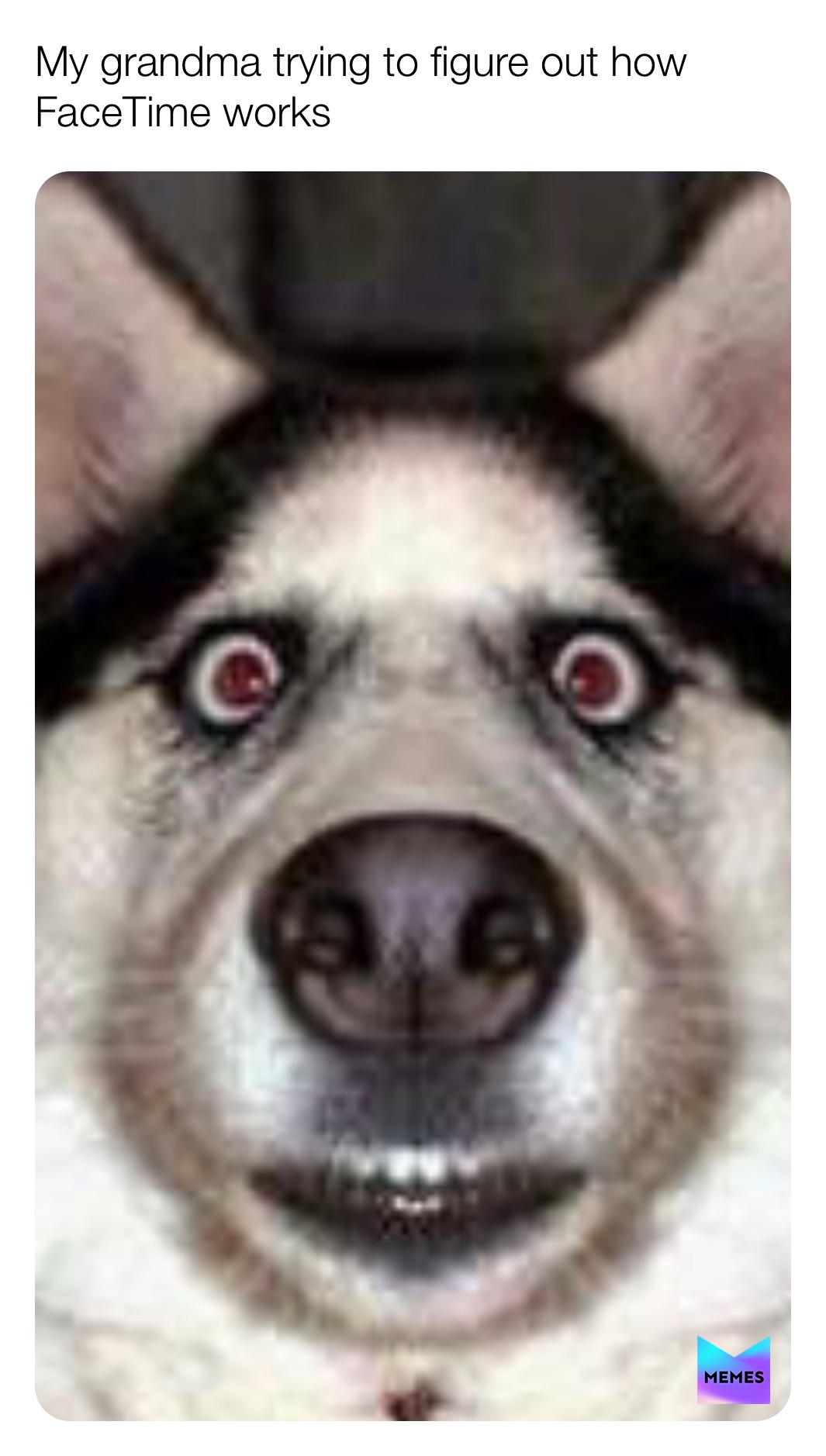 Meme by thememegrinch