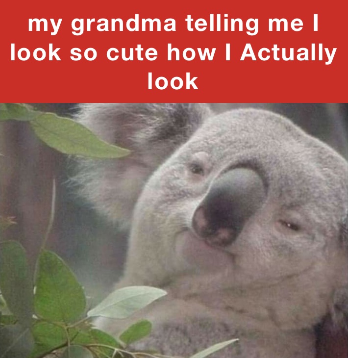 my grandma telling me I look so cute how I Actually look￼