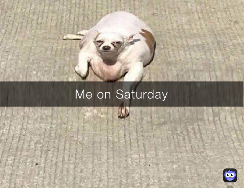 Me on Saturday