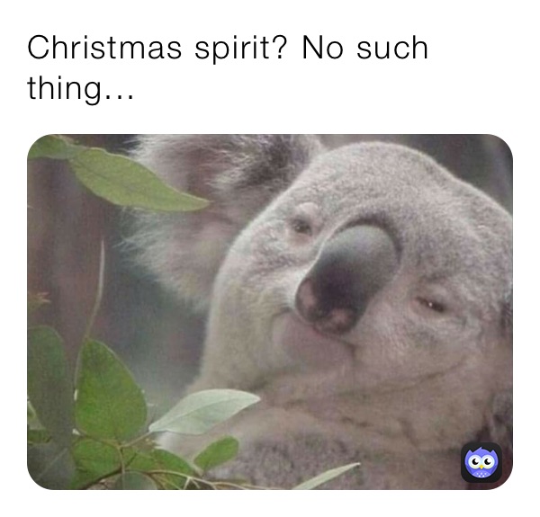 Christmas spirit? No such thing...