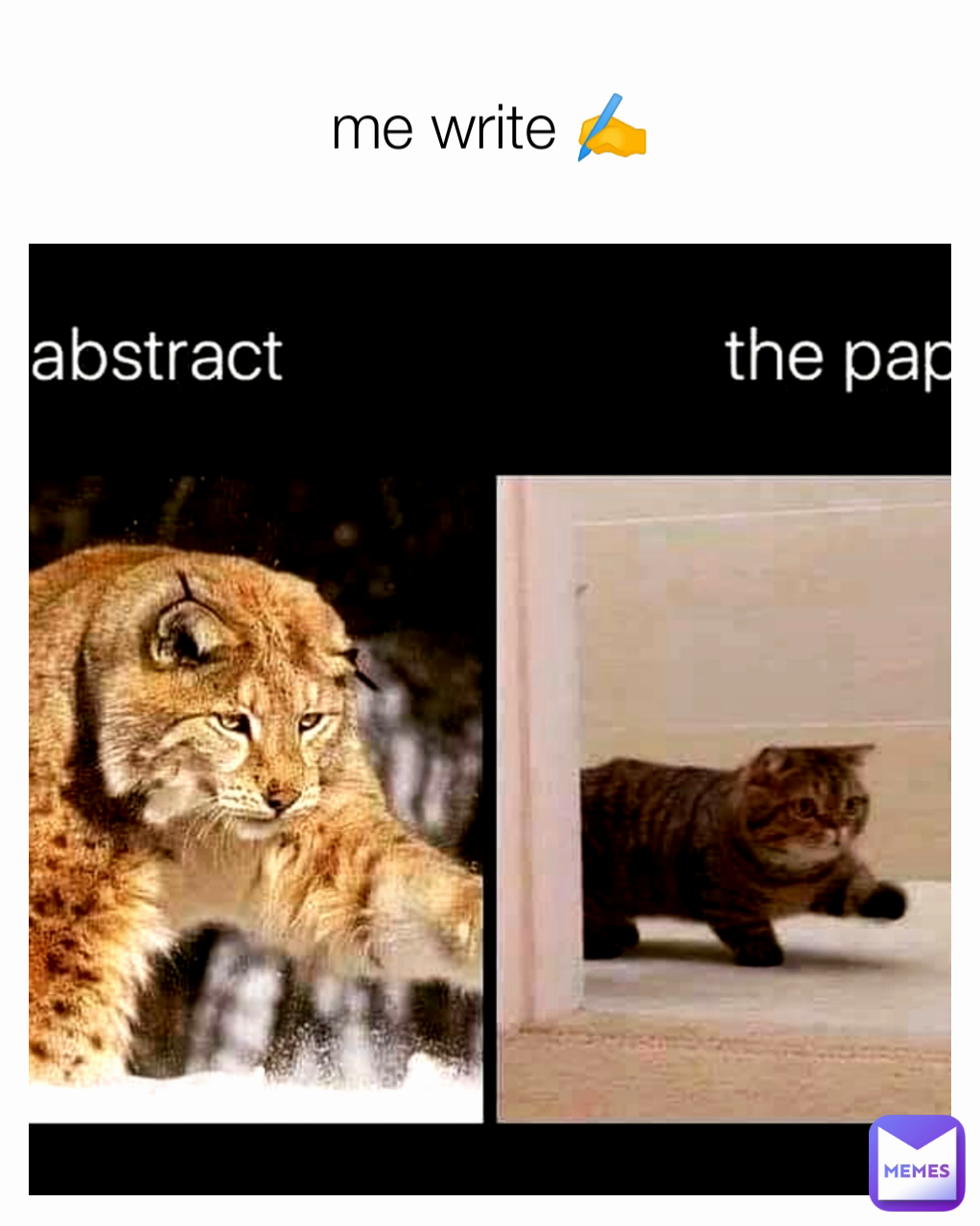 me write ✍️