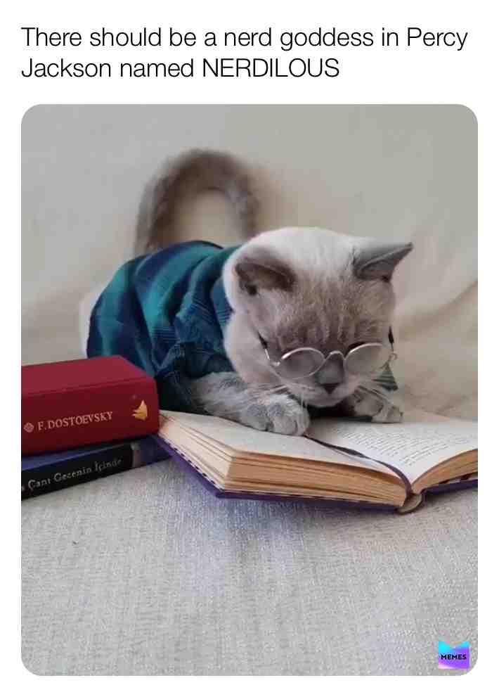  #lol