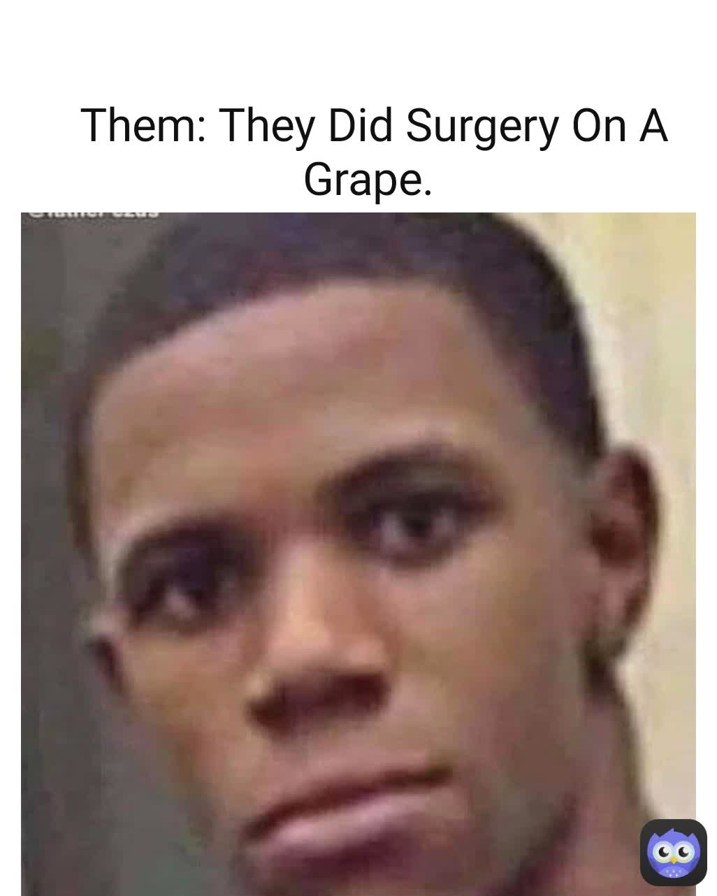 Them: They Did Surgery On A Grape. 

Me: