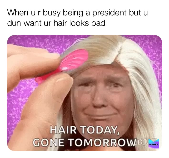 No harsh plzzz:)
It\u2019s just a meme 
 #memes  #meme  #president  #barbie  #hair  #blonde  #longhair