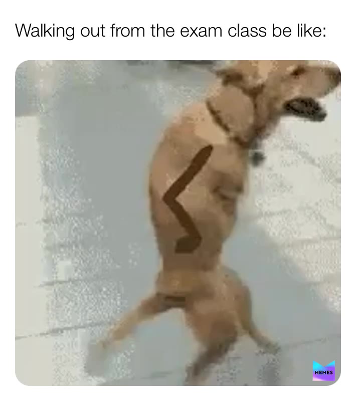 I m slowly turning into a dog  #dogmemes  #dogs  #memes  #meme  #exams  #exam  #exammemes  #myanmarmemes  #fail