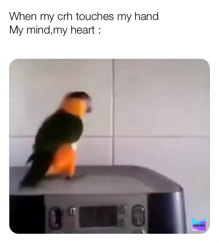 Can\u2019t handle diz cute shit:\u201d3333
   #crush    #crushmemes    #memes    #schooldays    #schoollife    #schoolshootermemes    #boys    #girls    #logic   #brianna\u2019smemes  #myanmarmemes