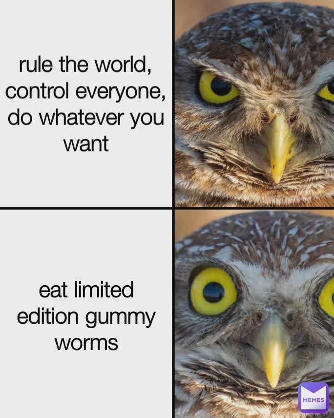no yes rule the world, control everyone, do whatever you want eat limited edition gummy worms