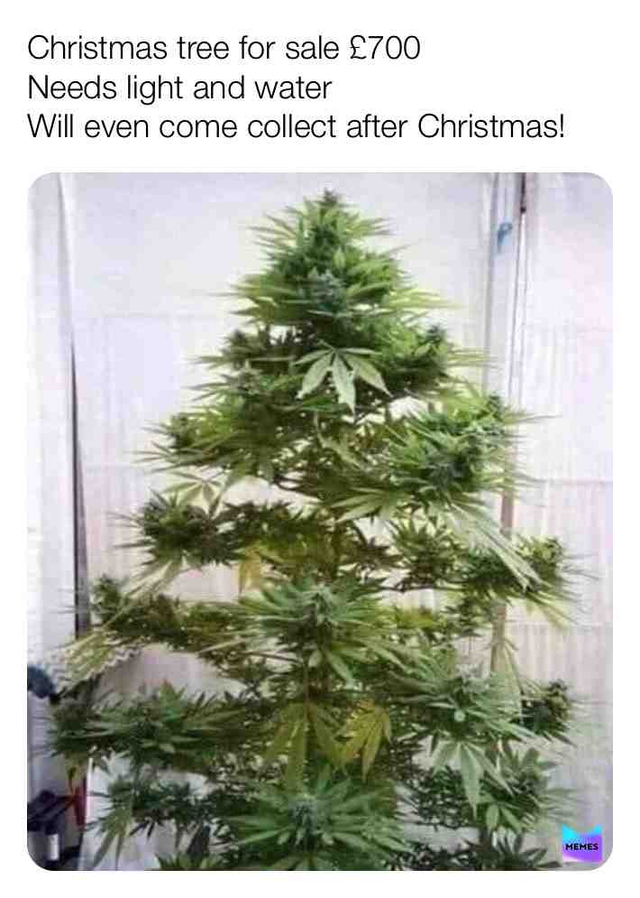 #weed #funny #memes #funnymemes