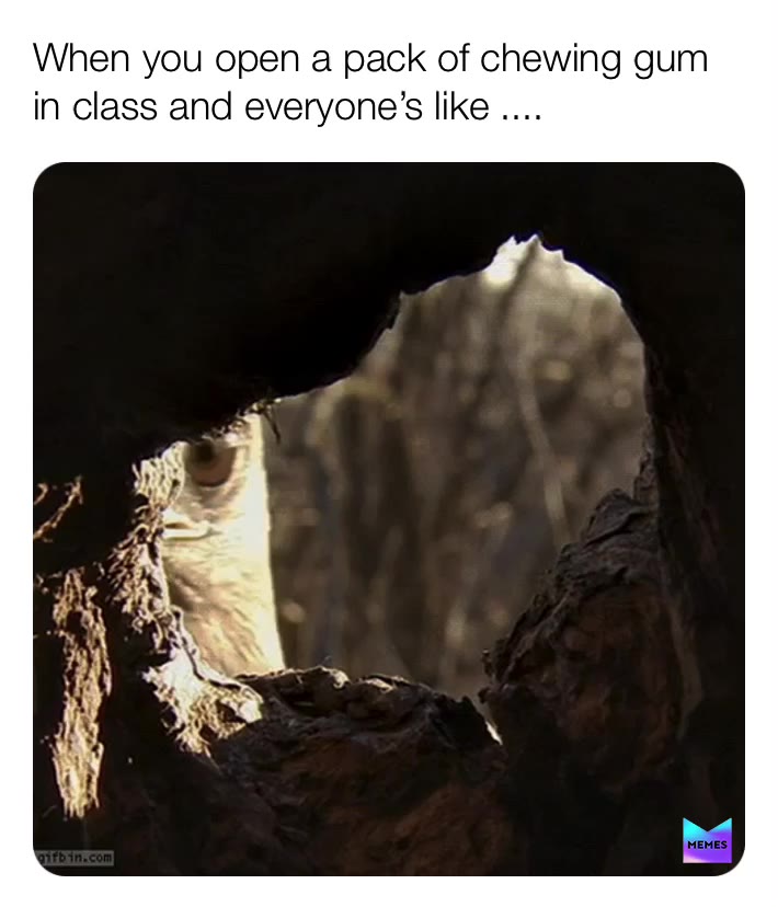 #funny  #memes  #funnymemes  #school  #haha