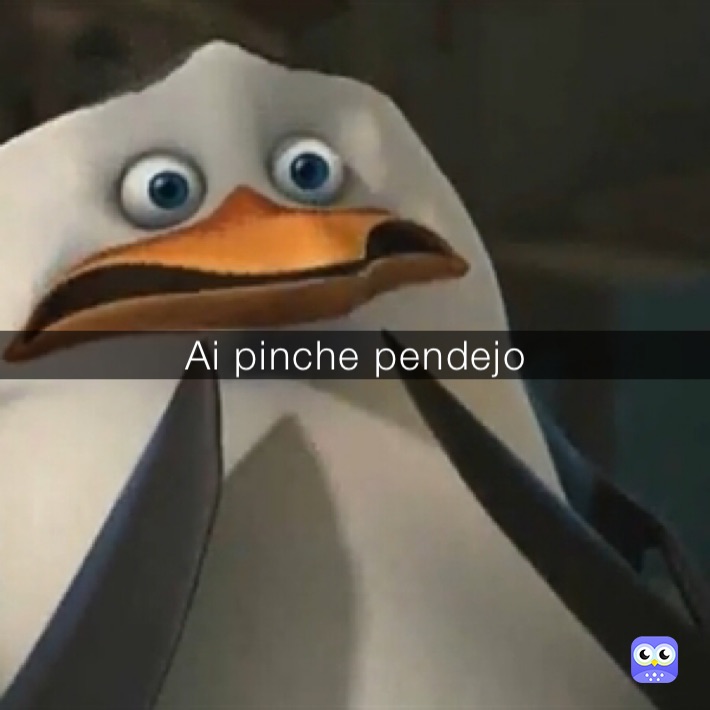 Ai pinche pendejo 