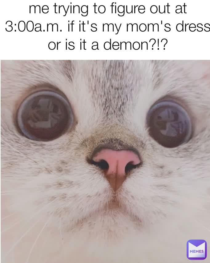 Me Trying To Figure Out At 3 00a M If It S My Mom S Dress Or Is It A Demon Sammy Luvcat Memes