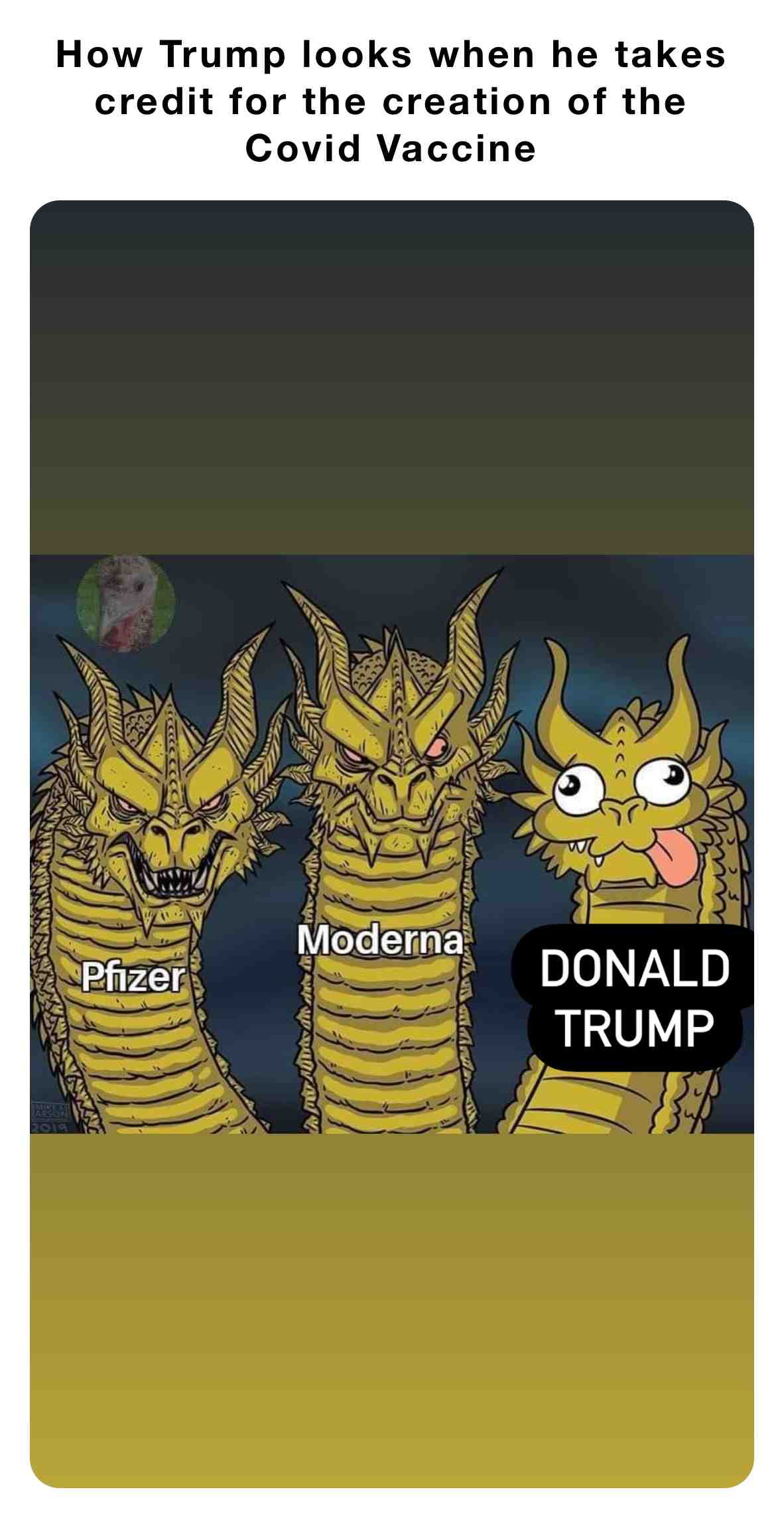 #fucktrump  #covid19  #trumpmemes  #trumpsucks  #vaccines  #coronavirus