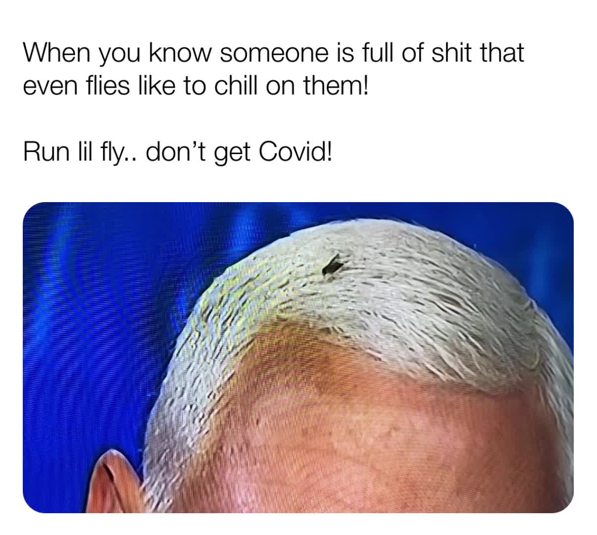 #trump2020  #fucktrump  #bidenharris2020  #mikepence  #vicepresidentdebate