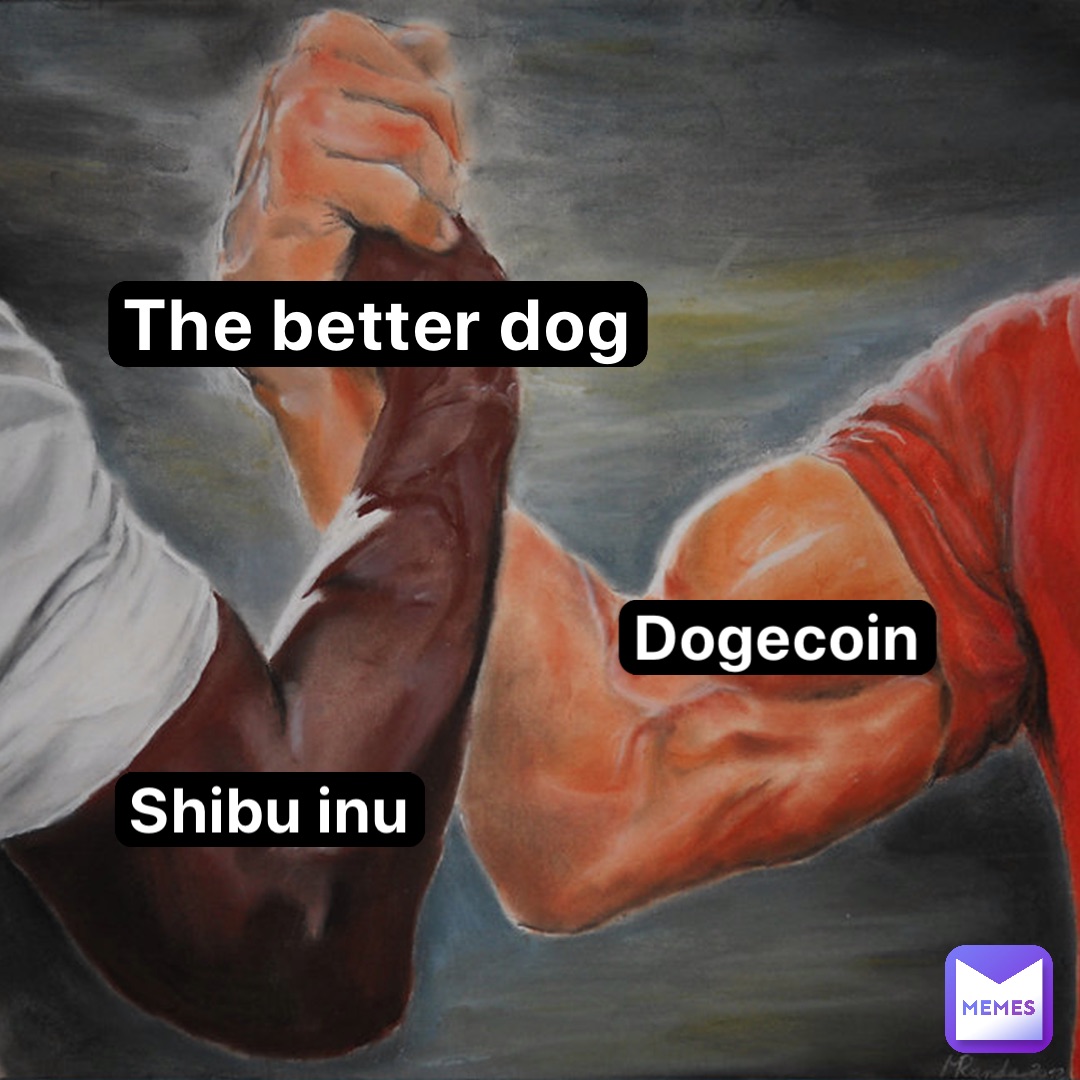 The better dog DogeCoin Shibu Inu