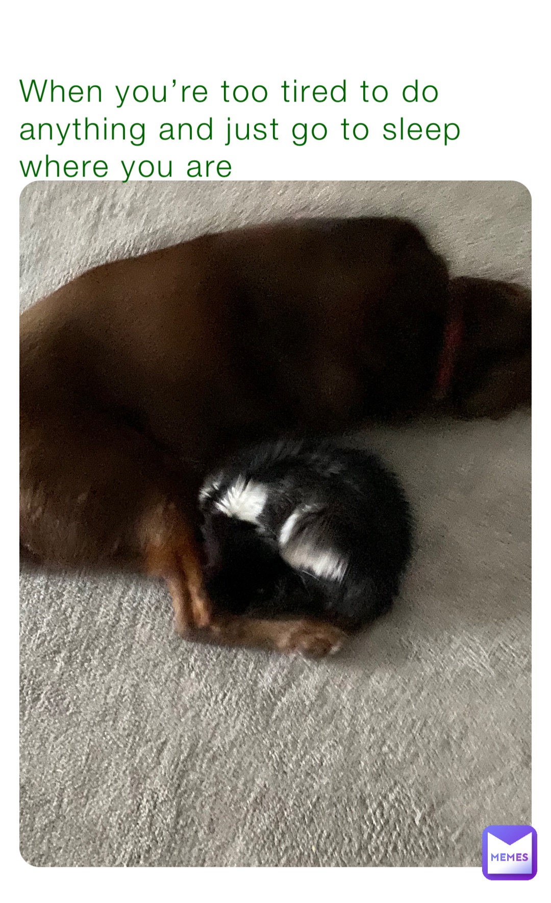 When you’re too tired to do anything and just go to sleep where you are