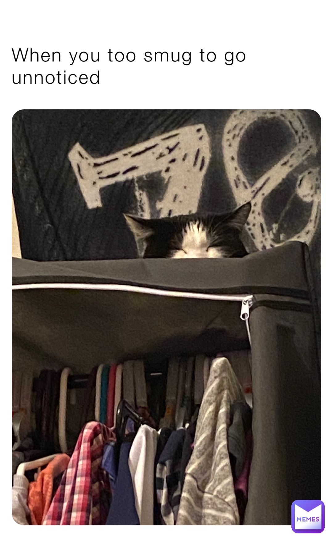 When you too smug to go unnoticed