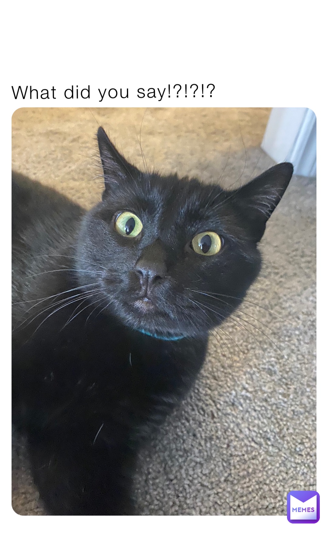 What did you say!?!?!?