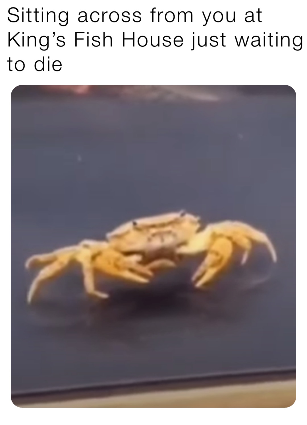 Sitting across from you at King’s Fish House just waiting to die