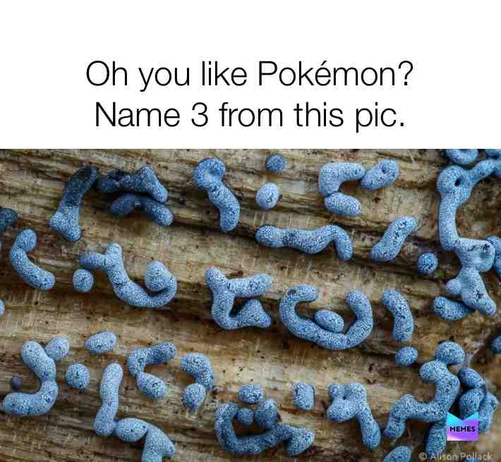 #pokemon  #meme  #fan  #name3