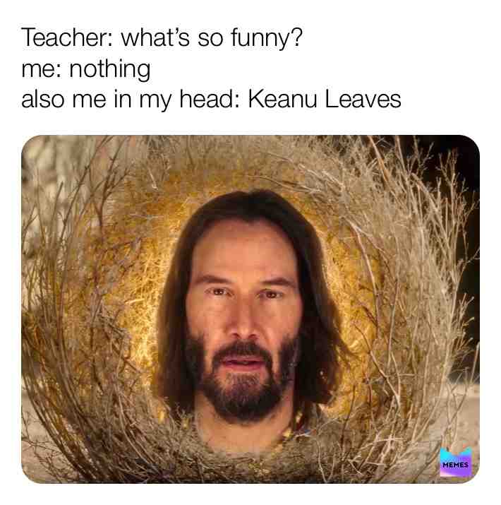 I am aware that those aren’t leaves 💀 #dankmemes #fyp #memes #johnwick