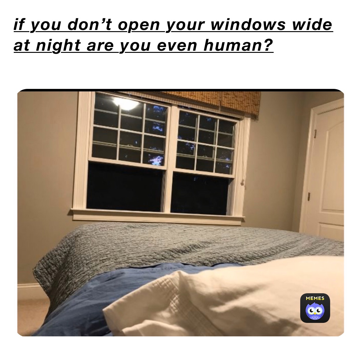 if you don’t open your windows wide at night are you even human?
