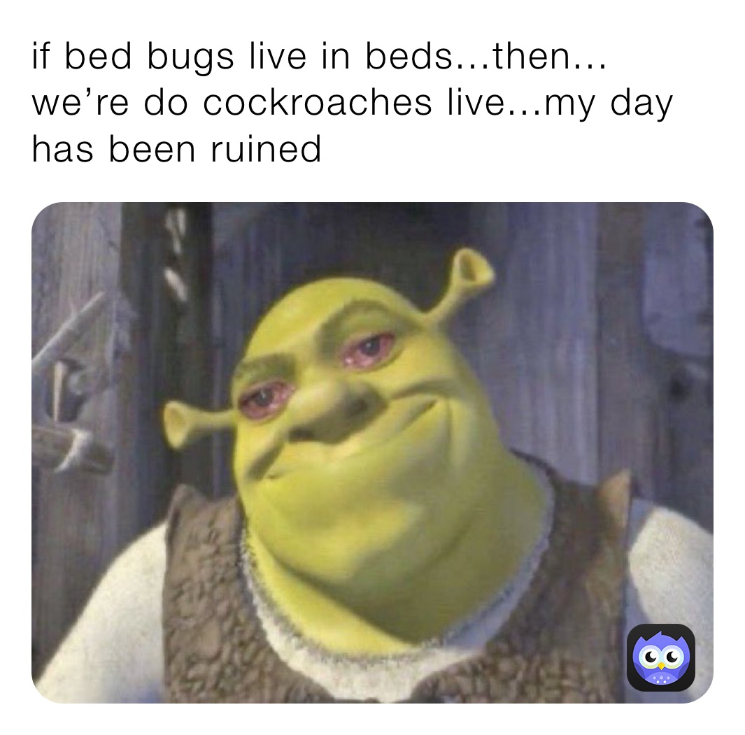 if bed bugs live in beds...then... we’re do cockroaches live...my day has been ruined
