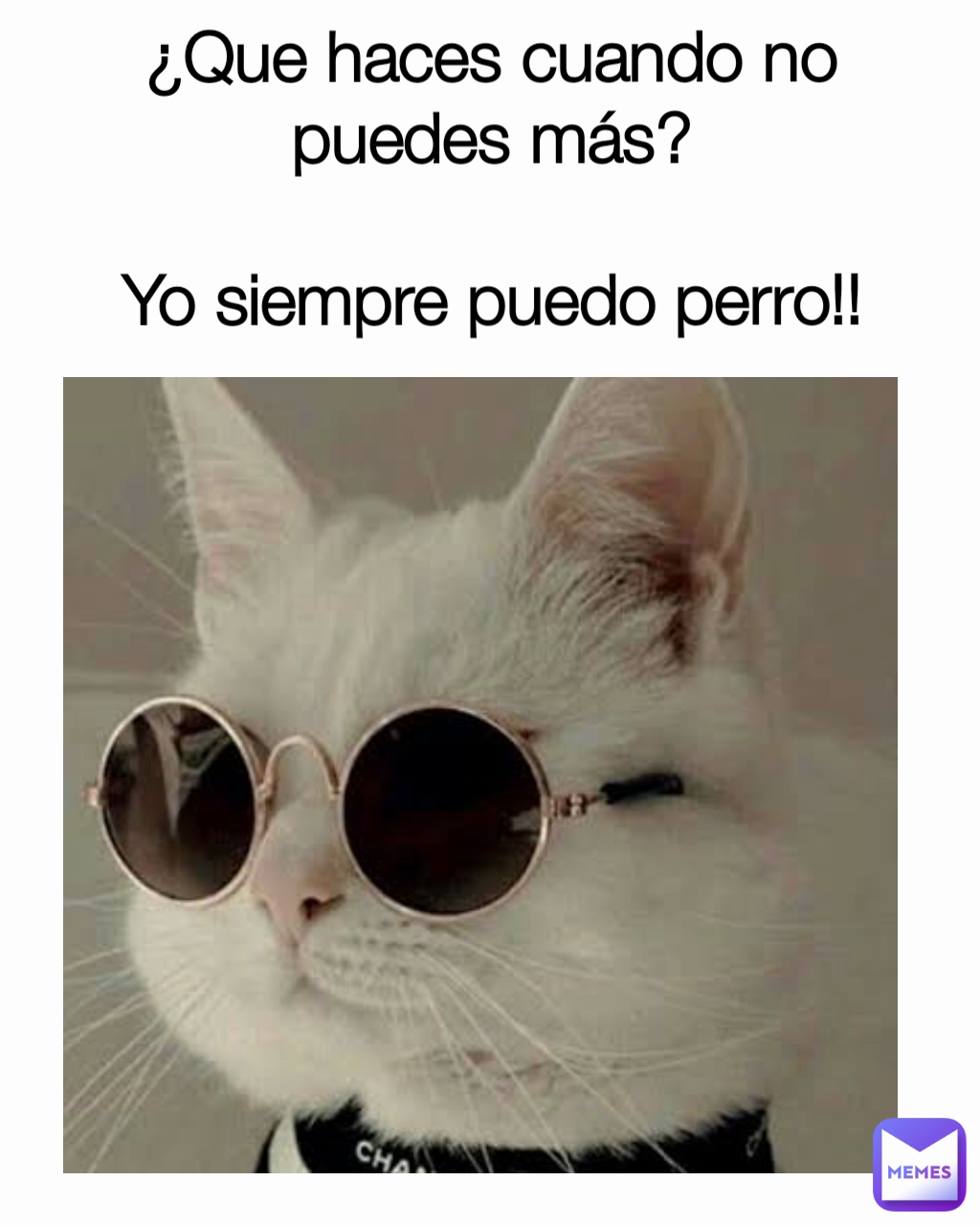 ¿Que haces cuando no puedes más?

Yo siempre puedo perro!!