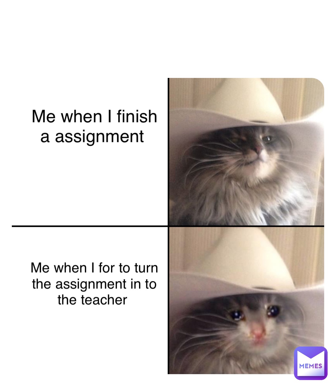 Me when I finish a assignment Me when I for to turn the assignment in to the teacher