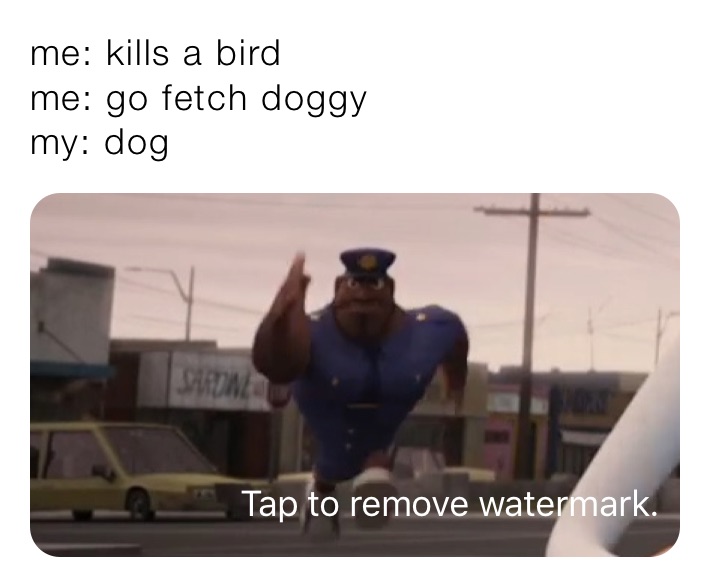 me: kills a bird
me: go fetch doggy
my: dog