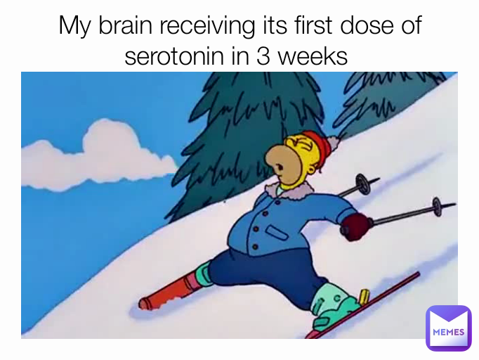 My brain receiving its first dose of serotonin in 3 weeks 