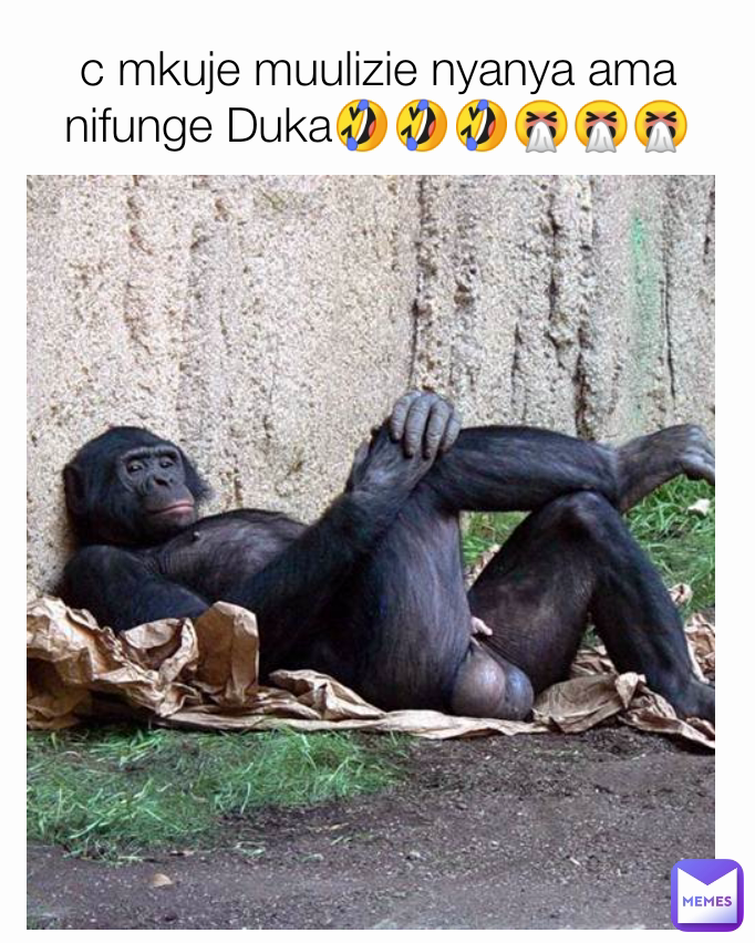c mkuje muulizie nyanya ama nifunge Duka🤣🤣🤣🤧🤧🤧
