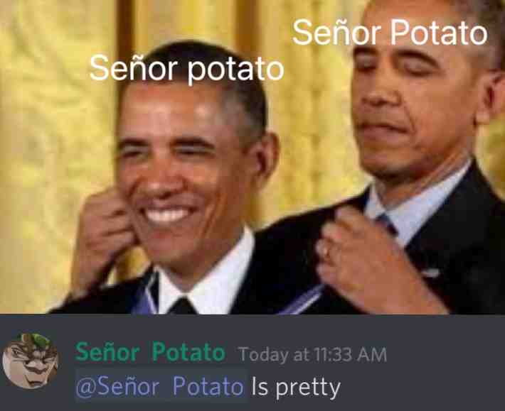 Discord friend really be complimenting himself lol #discord #memes #akward #potato
