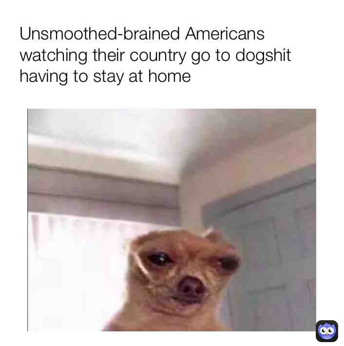 THIS MEME MAY NOT AGE WELL, SO DONT HARASS ME IN THE COMMENTS PLZ #quarantine #covid19 #memes