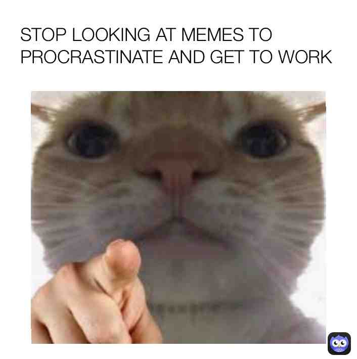 BACK TO WORK #school #schoolmemes #cat #quarantine #memes