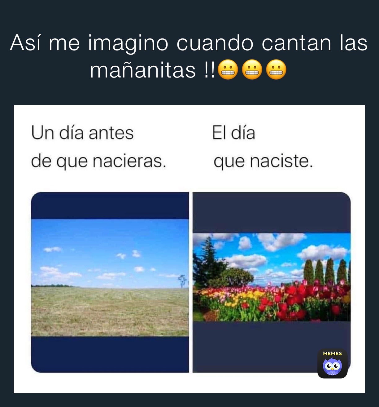 Así me imagino cuando cantan las mañanitas !!😬😬😬