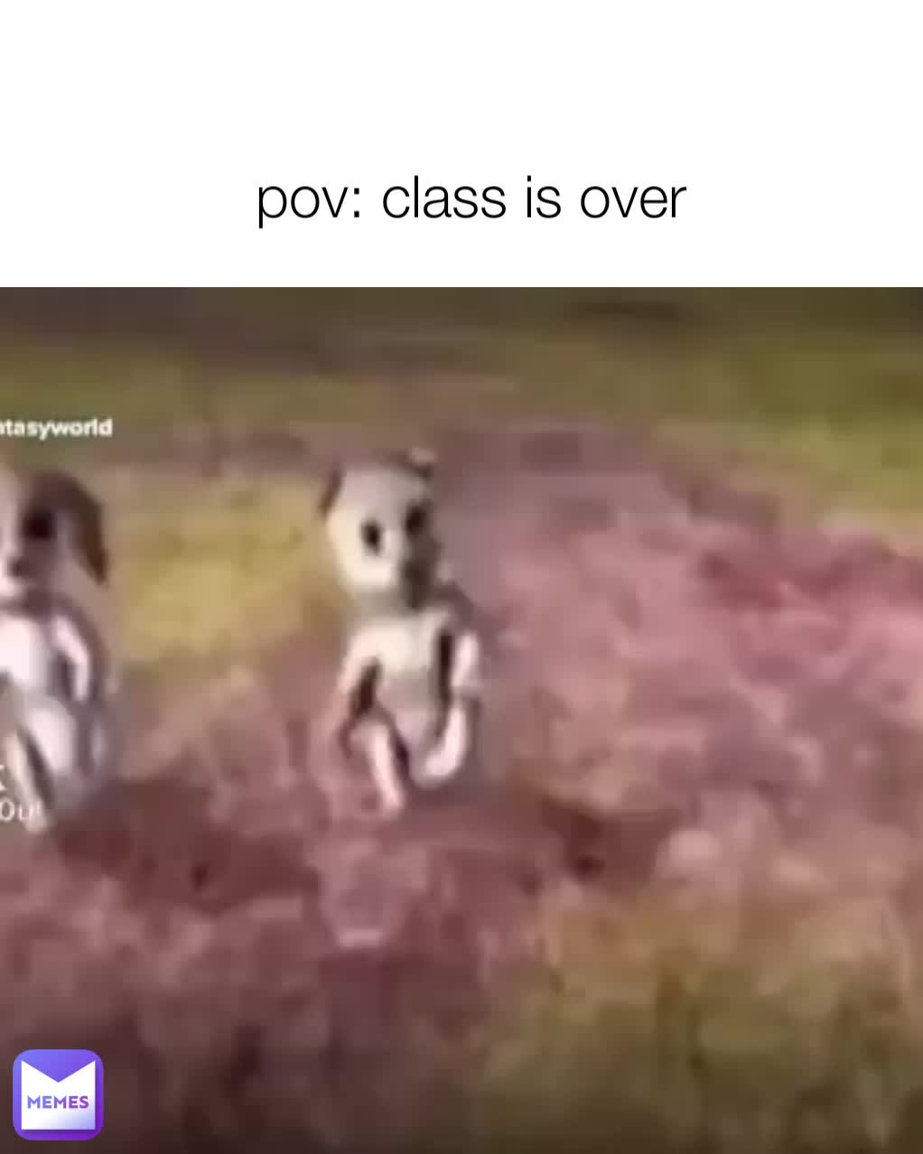 .