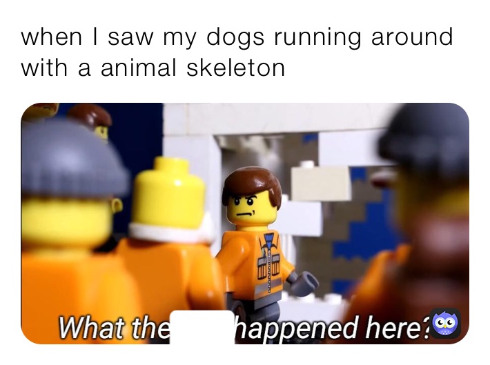 Meme by jetfeline866682