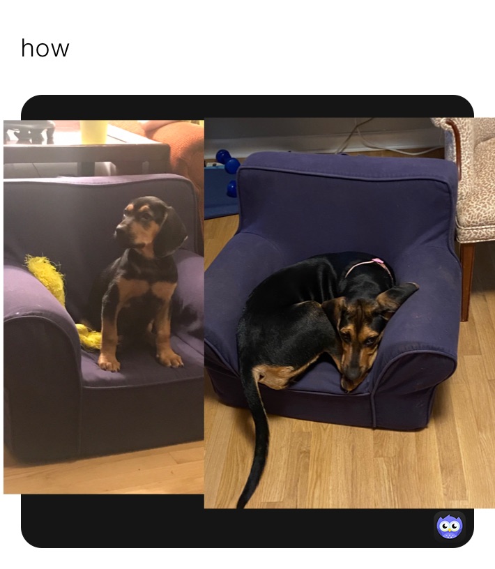 Meme by jetfeline866682