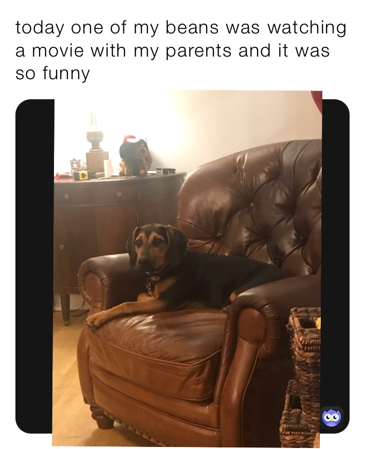 Meme by jetfeline866682