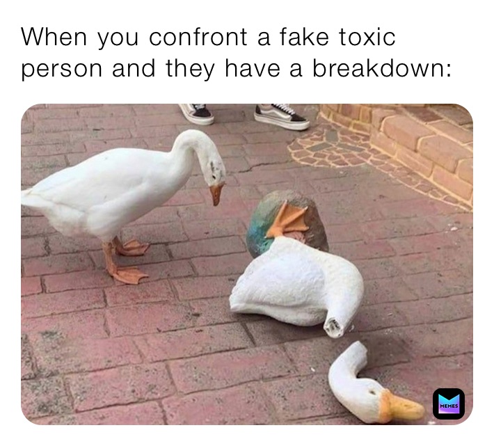 When you confront a fake toxic person and they have a breakdown: 