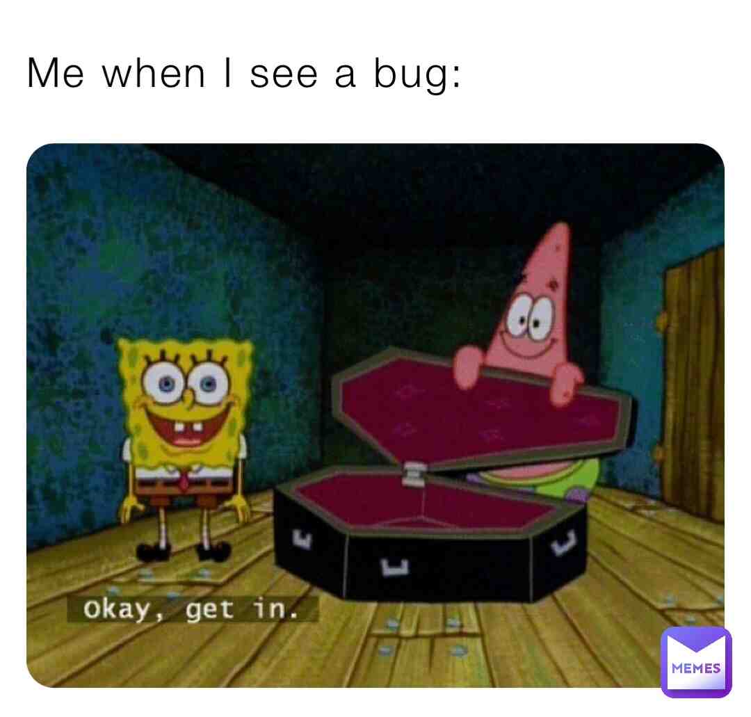Me when I see a bug